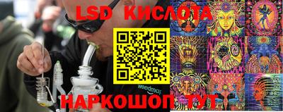 стаф Кулебаки