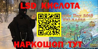 стаф Кулебаки