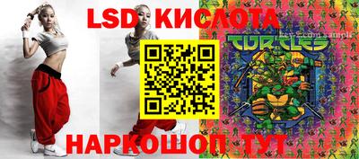 стаф Кулебаки