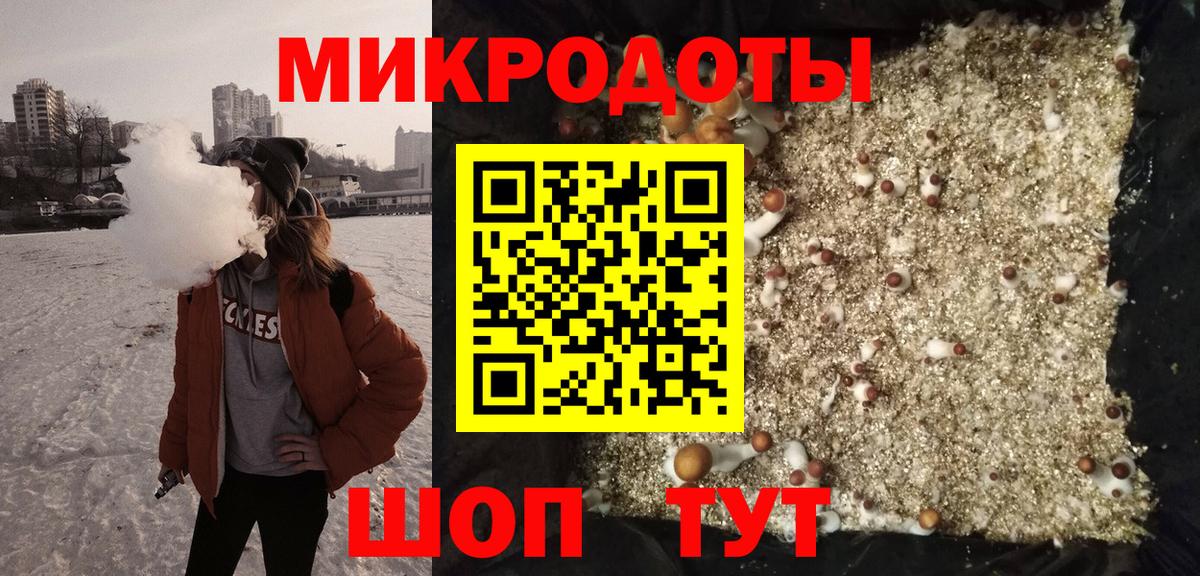 Псилоцибиновые грибы Psilocybine cubensis Чусовой
